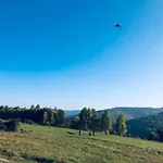 Borowka * Ujsoly