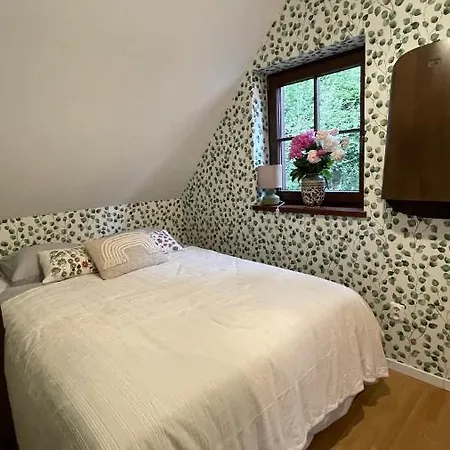 Borowka Holiday home Ujsoly