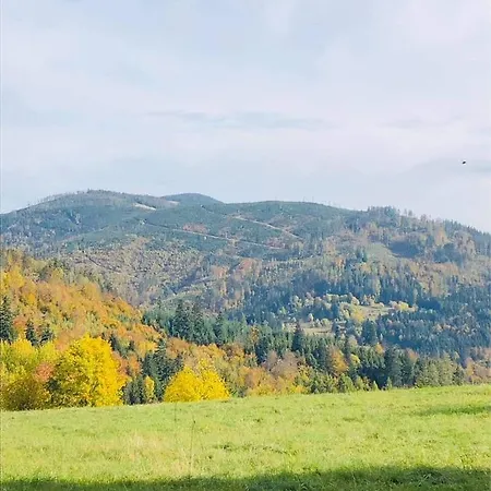 Hébergement de vacances Borowka *