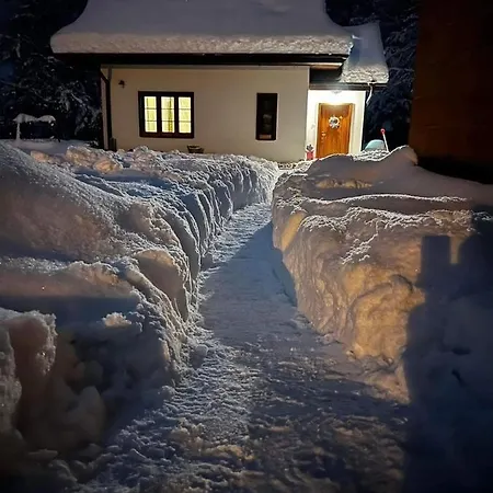 Borowka 度假居 *