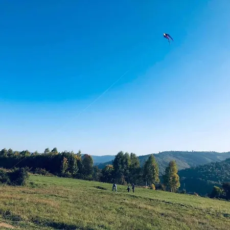Borowka * Ujsoły