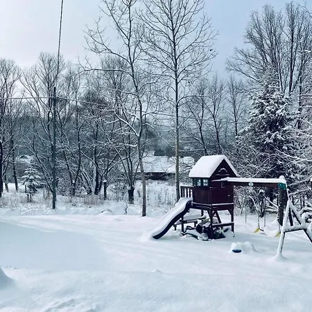 Borowka
