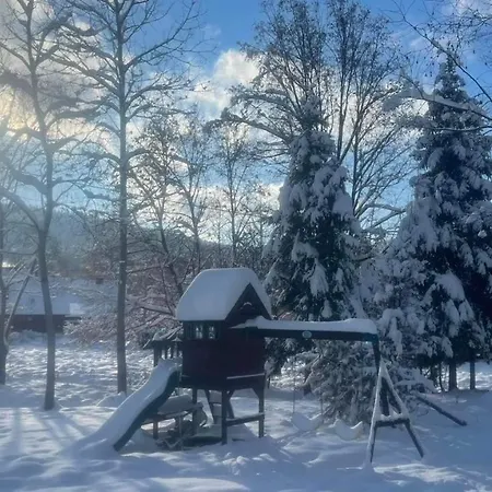 Prázdninový dům Borowka *