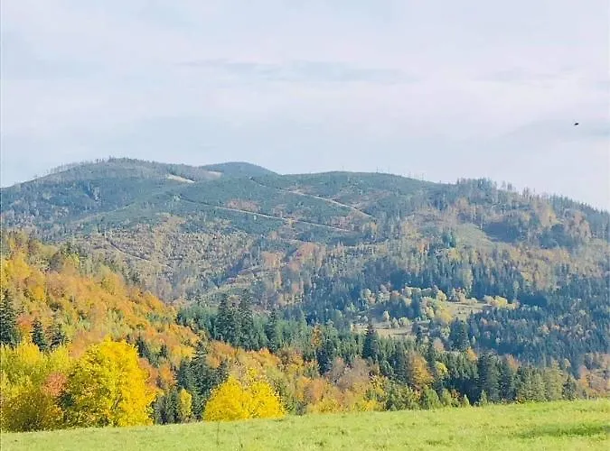 Prázdninový dům Borowka *