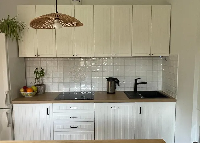 Prázdninový dům Borowka *