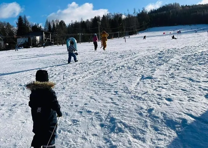 Prázdninový dům Borowka *