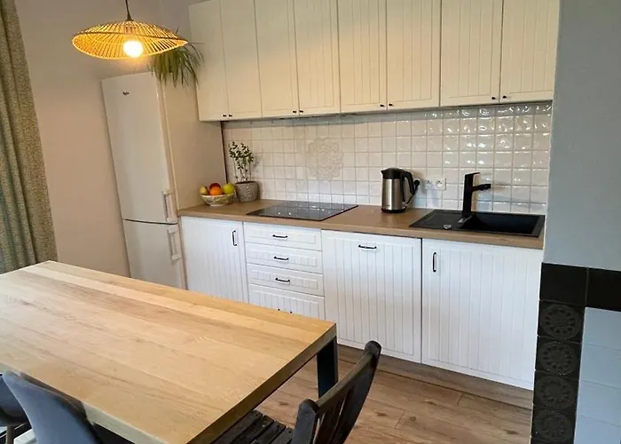 Borowka 度假居 Ujsoły