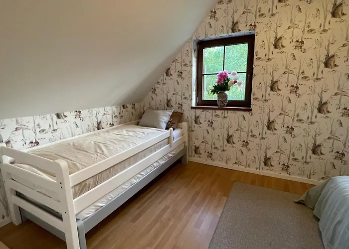 Borowka Prázdninový dům *