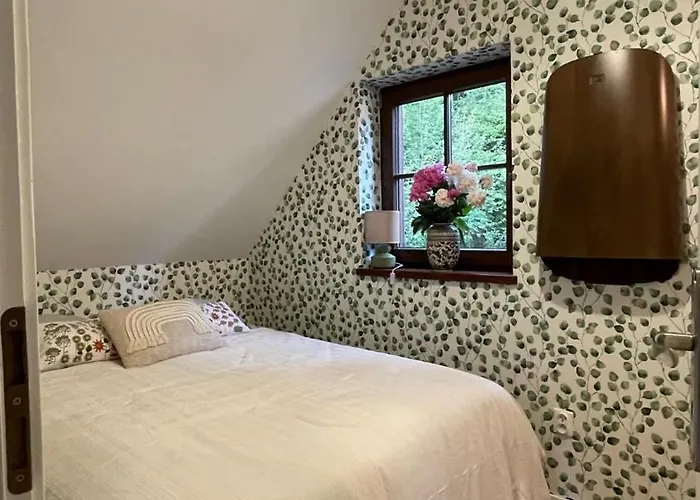 度假居 Borowka Ujsoły