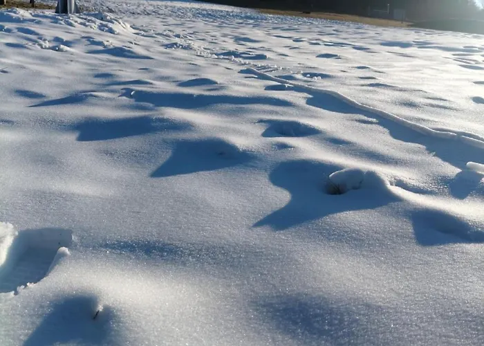 Borowka Prázdninový dům